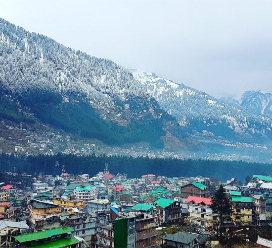 Family & Group Tours